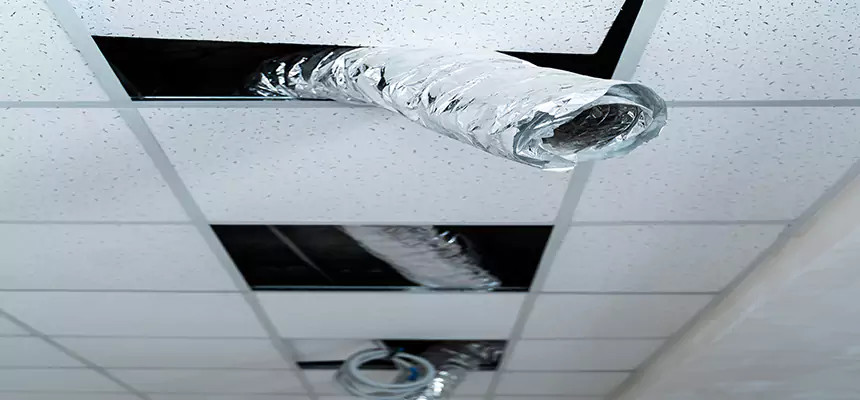 Our Air Duct Pet Hair Removal Services in Rowlett, TX