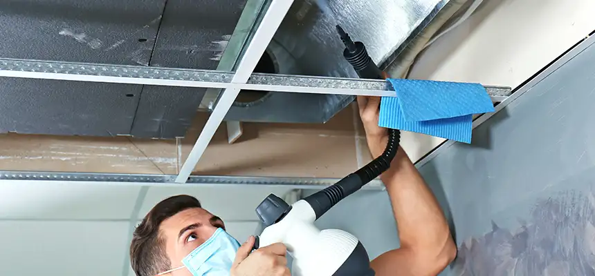 Our Air Duct Rodent Removal Services in Rowlett, TX