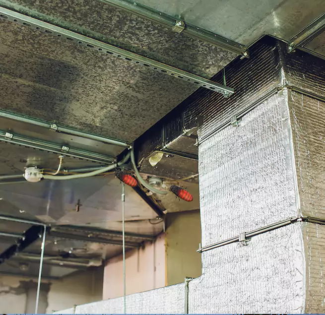 Why Homeowners & Businesses Trust Us Rowlett, TX?